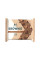 Combo 2 Mix Cookie and Bar - 20 pieces