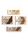 Combo 2 Mix Cookie and Bar - 20 pieces