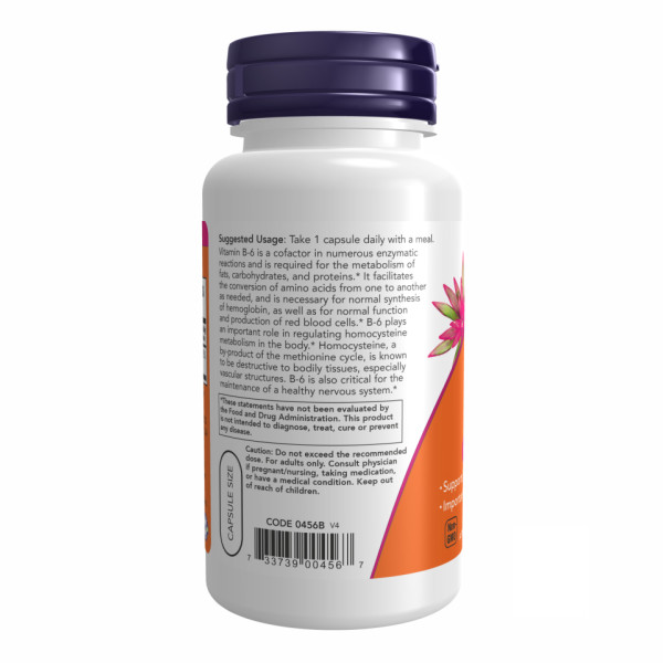 B-6 100 мг - 100 капсул       B-6 100mg - 100 caps