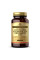 Glucosamine Hyaluronic Acid Chondroitin MSM (Shellfish-Free) - 120 tabs