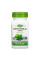 Трава Готу Кола - 100 капсул  Gotu Kola Herb - 100 vcaps