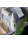 Спрей-очищувач для шкіри Clinisoothe+ Skin Purifier 100 ml